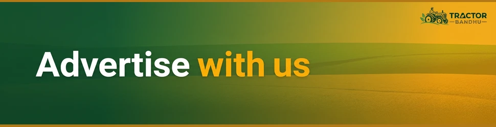Advertise with us